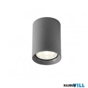   REDO 90342 Kültéri mennyezeti lámpa XILO PL LED 9W IP54 DG 4000K (5.6)