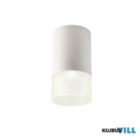  REDO 90350 Kültéri mennyezeti lámpa XILO PL LED 6W IP54 SWH 3000K (5.6)