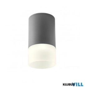   REDO 90351 Kültéri mennyezeti lámpa XILO PL LED 6W IP54 DG 3000K (5.6)