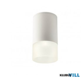   REDO 90353 Kültéri mennyezeti lámpa XILO PL LED 6W IP54 SWH 4000K (5.6)