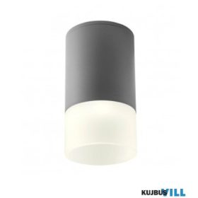   REDO 90354 Kültéri mennyezeti lámpa XILO PL LED 6W IP54 DG 4000K (5.6)