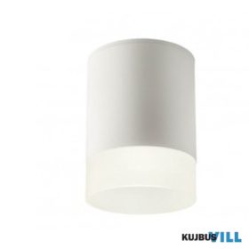   REDO 90356 Kültéri mennyezeti lámpa XILO PL LED 15W IP54 SWH 3000K (5.6)(108*148)