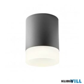   REDO 90357 Kültéri mennyezeti lámpa XILO PL LED 15W IP54 DG 3000K (5.6)(108*148)