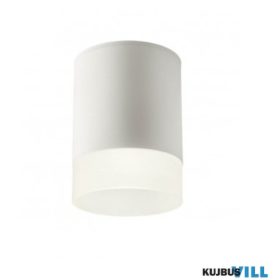   REDO 90359 Kültéri mennyezeti lámpa XILO PL LED 15W IP54 SWH 4000K (5.6)(108*148)