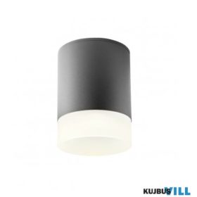   REDO 90360 Kültéri mennyezeti lámpa XILO PL LED 15W IP54 DG 4000K (5.6)(108*148)