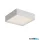 REDO 91049 NOX PL LED 7W/9W/11W/13W/15,5W/17,5W/19,2W/21W ADJUSTABLE IP65 CCT2700K-3000K SWH (Sq) (5.1.2) 220MM
