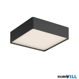   REDO 91052-DALI NOX PL LED 21W DALI IP65 CCT2700K-3000K SBK (Sq) (5.1.2) 220MM