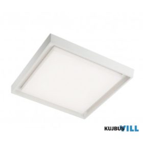   REDO 9189 Kültéri mennyezeti lámpa BEZEL PL L LED 30W IP54 SWH 3000K (SQ) (5.1.2)