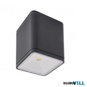   REDO 9199 Kültéri mennyezeti lámpa BETA PL LED COB 6W IP54 DG 4000K (SQ)(5.6)