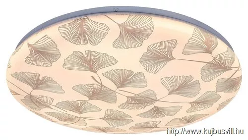 KIFUTÓ RÁBALUX 3076 Benita,bel.menny.LED 24W,gingko, D38cm