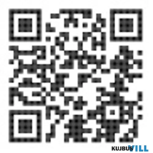 RÁBALUX 7504 Palanga,kül.fali,LED 12W 800lm,24x16cm