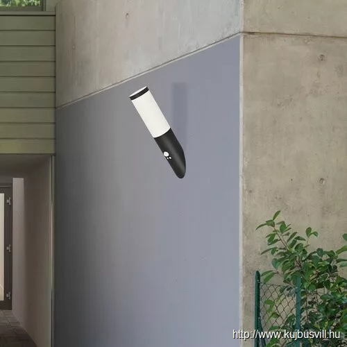 RÁBALUX 8146 Black torch kültfalikar E27 25Wm.fktIP44