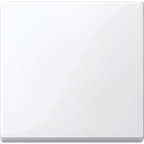 MTN432125 MERTEN Billentyű, System-M, aktívfehér