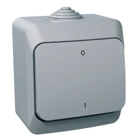   SCHNEIDER WDE000620 CEDAR PLUS Kétpólusú kapcsoló, IP44, szürke (102)