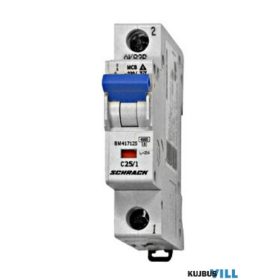 SCHRACK BM417125 Kismegszakító C25/1 4,5 kA