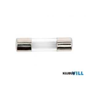 F125 MA Biztosíték (F)