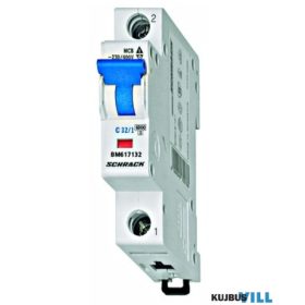   SCHRACK AM617132 Kismegszakító AMPARO 6kA, C 32A, 1 pólusú