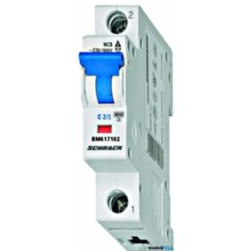 SCHRACK BM617102  Kismegszakító C2/1 6KA