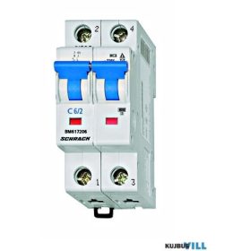 SCHRACK BM617204 Kismegszakító C4/2 6kA