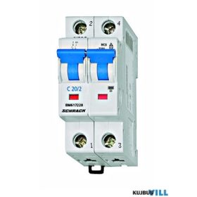 SCHRACK BM617220 Kismegszakító C20/2 6KA