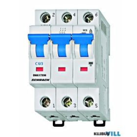 SCHRACK BM617304 Kismegszakító C4/3 6KA