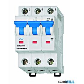 SCHRACK BM617306 Kismegszakító C6/3 6KA