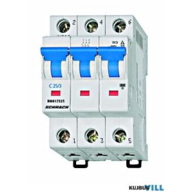 SCHRACK BM617325 Kismegszakító C25/3 6KA