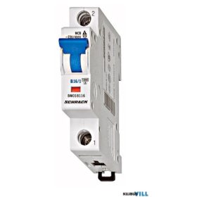 SCHRACK BM618125 Kismegszakító B25/1 6KA