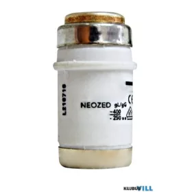SCHRACK IS504036 Biztosító betét NEOZED DO2/25A, gL