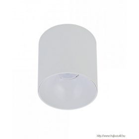 TECHNO 8222 Nowodvorski Point Tone spotlámpa fehér/fehér