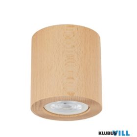 TK-10121 TK Lighting Eve mennyezeti spotlámpa