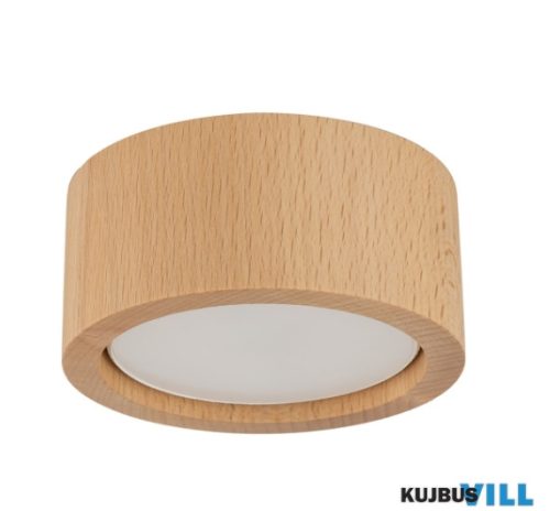TK-10123 Eve mennyezeti spotlámpa