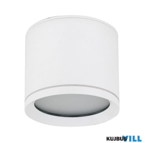 TK-10595 Vivo mennyezeti spotlámpa
