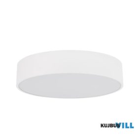 TK-10987 TK Lighting Livo kültéri mennyezeti lámpa