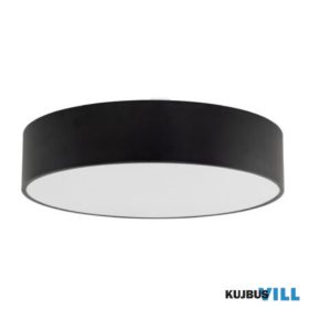 TK-10988 TK Lighting Livo kültéri mennyezeti lámpa