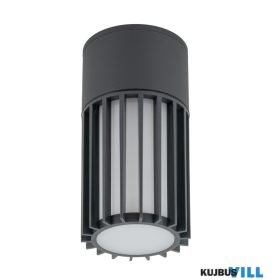 TK-11508 TK Lighting Ribo kültéri mennyezeti lámpa