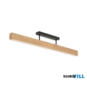 TK-6619 TK Lighting Teo LED mennyezeti lámpa