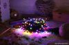 CHRSTOB100RGB Karácsonyi fényfüzér, színes,kültéri/beltéri X22019