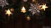 CHRSTSSTA10WW LED karácsonyi lánc, hópehely,fa, csillag, elemes