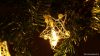 CHRSTSTA10WW LED karácsonyi lánc, csillag,fém, elemes X22059