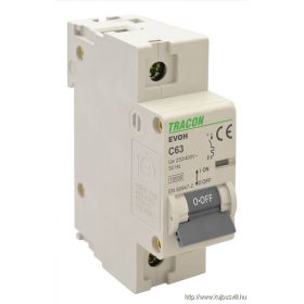   TRACON EVOH1100 Kismegszakító, nagyáramú, 1 pólus, C karakterisztika 100A, 1P,10kA