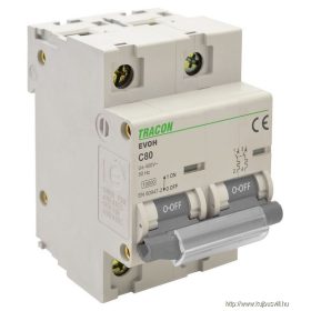   TRACON EVOH2100 Kismegszakító, nagyáramú, 2 pólus, C karakterisztika 100A, 2P,10kA