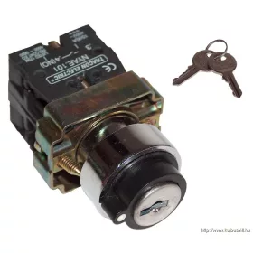   TRACON NYBG21KKT Tokozott kulcsos kapcsoló, fémalap, bal KI, kétállás 1×NO, 3A/230V AC, IP44