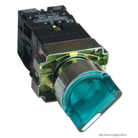   TRACON NYGBK2365ZT Tokozott világítókaros kapcsoló, zöld, LED, kétáll., izzó n. 1×NC+1×NO, 3A/400V AC, IP44