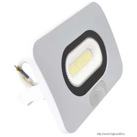   TRACON RSMDLFM30 Fehér SMD fényvető mozgásérzékelővel 30W, 4000K, IP65, 220-240V AC, 2700lm,110°, 3-10m, EEI=F