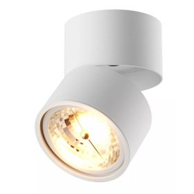 ZU-20001-WH-N Zuma Lomo spotlámpa