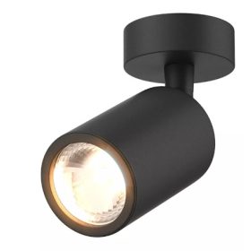 ZU-20016-BK-N Zuma Tori spotlámpa