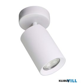 ZU-TLS006-WH Zuma Tore spotlámpa